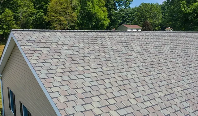 Aerial view of a sloped residential roof covered with gray-brown asphalt shingles, with green trees in the background.