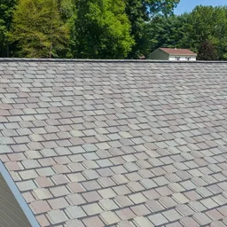 Aerial view of a sloped residential roof covered with gray-brown asphalt shingles, with green trees in the background.